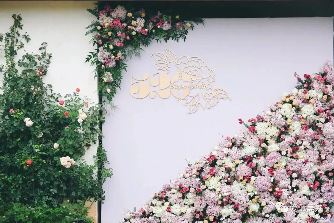 1575597907338913.jpg 18.webp.jpg