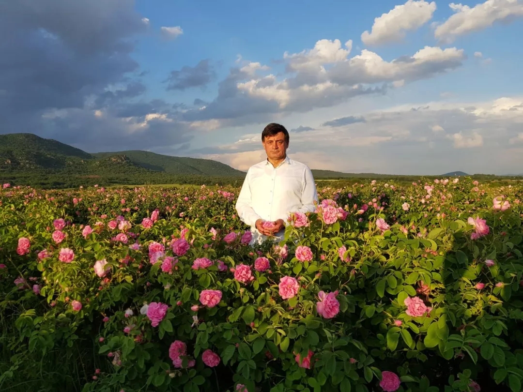 1575598051948258.jpg 24.webp (1).jpg