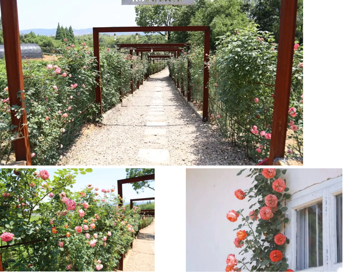 1575604641378769.png 12.png