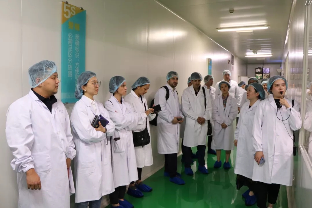 1575604660238837.jpg 14.webp.jpg