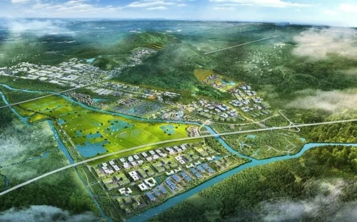 1575607925923696.jpg 1.webp.jpg