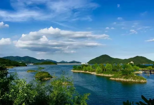 1575792098653155.jpg 640.webp (1).jpg