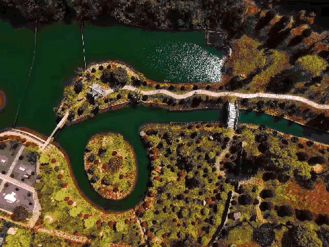 1575792979456125.gif 2.gif